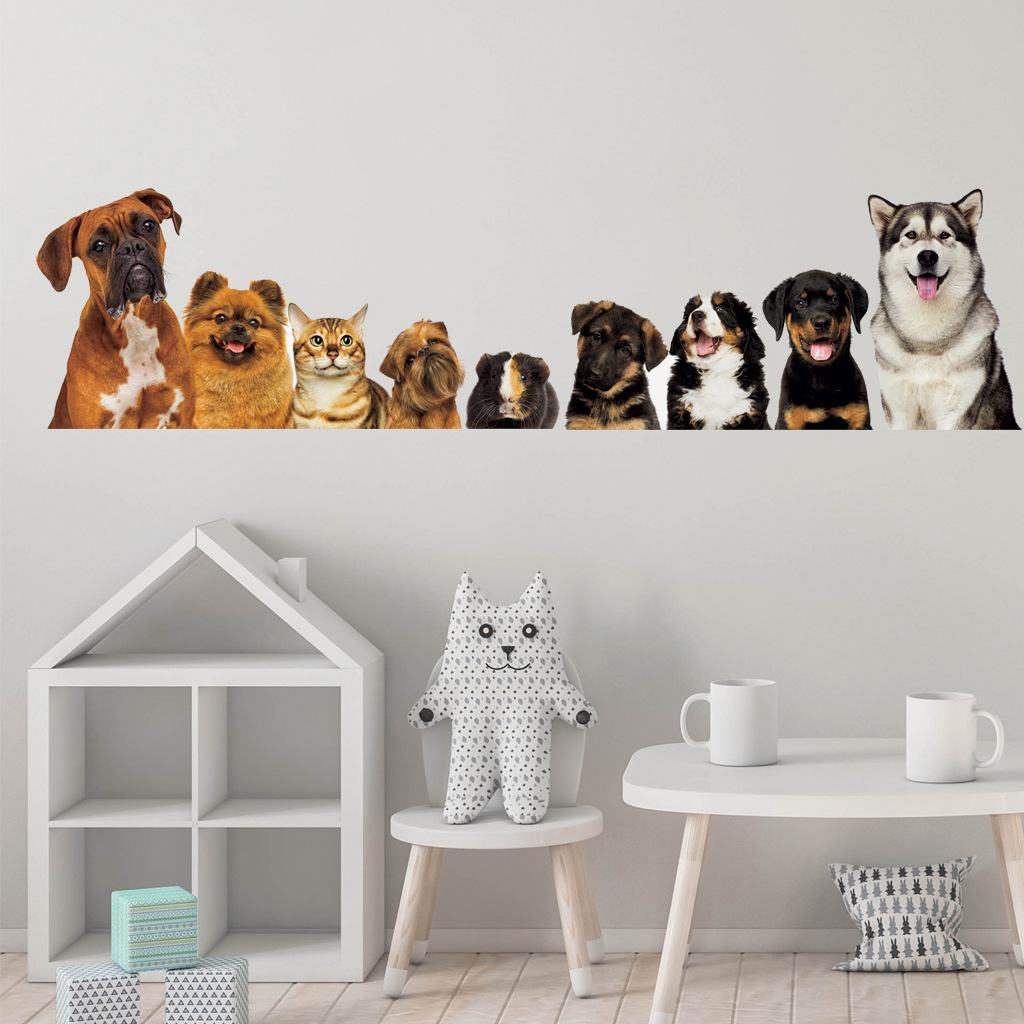 C30 #9 sevimli kediler ve köpe - Home Cinema Wall incelemesi ve fiyatı